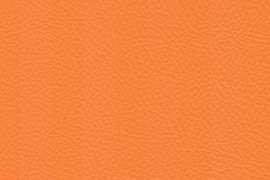 801